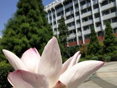 -华中科技大学同济医学院附属同济医院(汉口院区)