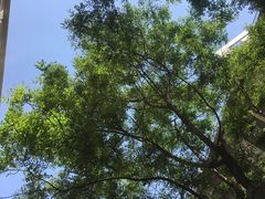 -VESH COFFEE(定西路店)