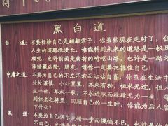 -青峰峡国家森林公园