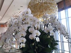 -视界美食自助餐厅·石家庄希尔顿酒店