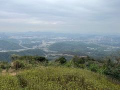 -黄埔油麻山森林公园