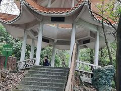 -旗岭森林公园