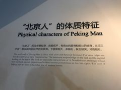 -北京周口店北京人遗址博物馆