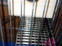 -MOJO密室逃脱(中街旗舰店)