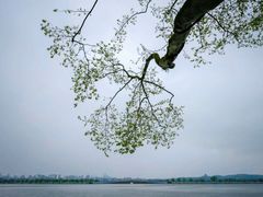 -西湖游船
