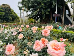 -人民公园(罗湖区)