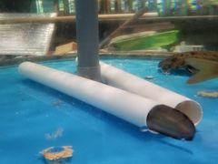 -江滨九号.中餐厅(滨江店)