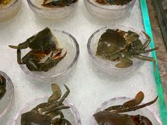-半岛翡丽海鲜自助餐厅(观风亭店)