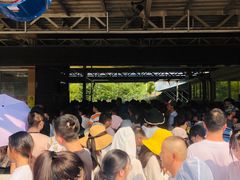 -天目湖松岭竹海漂流