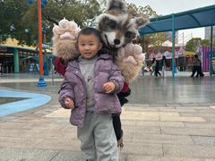 -海合安武汉极地海洋公园