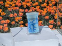 -荷兰花海