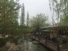 -秀丽东方