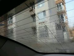 后玻璃窗也冻了-保路达大师美车(天泰路店)