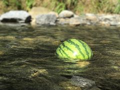 -山王坪喀斯特国家生态公园