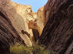-天山神秘大峡谷