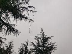 -洨河生态公园