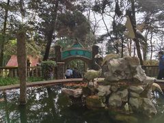 -莫干山风景区