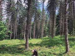 -硗碛藏寨·神木垒景区