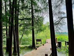 -东湖落雁景区