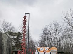 -合肥滨湖国家森林公园