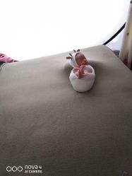 -金色童年新生儿满月摄影(包头店)