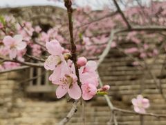 -蟠龙山长城景区