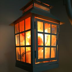 -Yukina Plus专业日式美肌