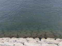 -杭州千岛湖开元度假村