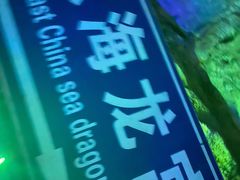 -泰安地下龙宫景区