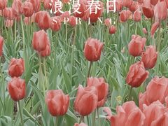 -院士公园