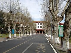 -四川大学(望江校区)
