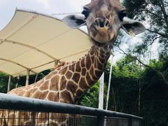 -泉州海丝野生动物世界