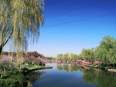 -石家庄市植物园
