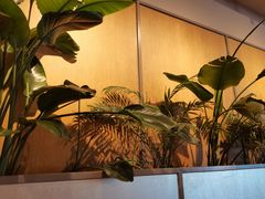 -Wagas沃歌斯(汇智店)