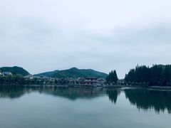 -黄贤森林公园