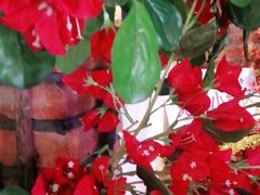 -湘邻呷铺·田园家宴(汉基广场店)