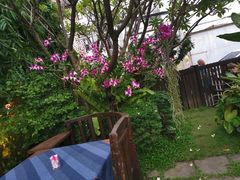 -Dash Teak House