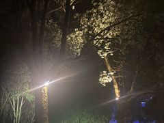 -三江森林温泉度假区