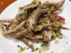 -全乐鱼馆·淳牌有机鱼直营店