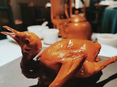 -大鸽饭(体育西路店)