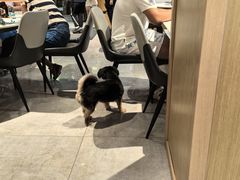 -西夏回族烧麦馆(牡丹街店)