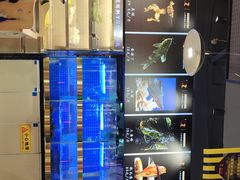 -蛙一刀·麻椒鱼火锅(金仙桥店)