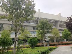-上海体育场