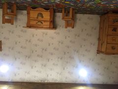-金山农民画村-枫泾波兰倒置屋