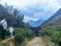 -仙霞关景区