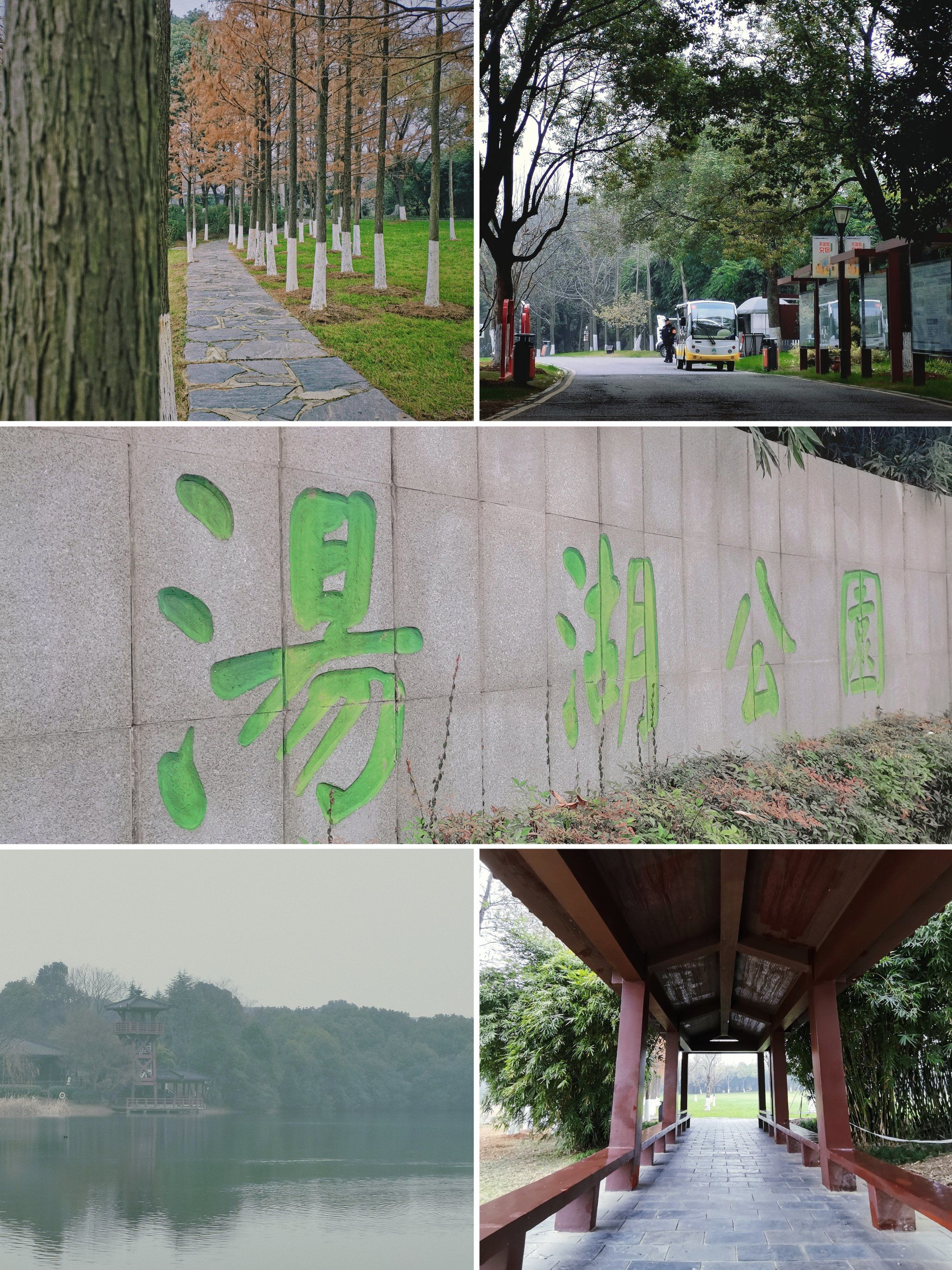 汤湖公园98 | 武汉最文艺的公园