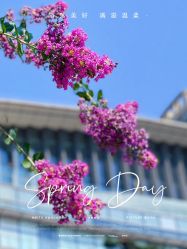 -章光101防脱养发荟