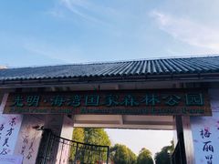 -上海海湾国家森林公园