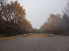 -玲珑塔公园