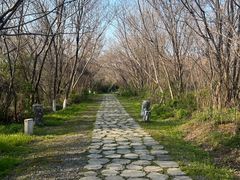 -盘龙城遗址博物院